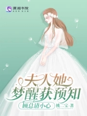 书名《夫人她总想祸乱天下》