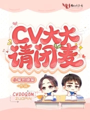 cv大大